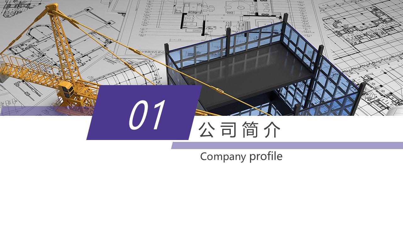 安美佳企业画册第3页